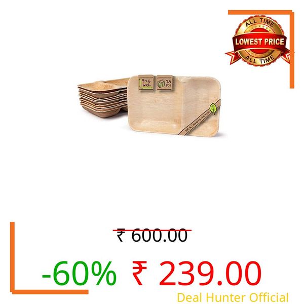 ECONUS Areca Leaf Tableware I 25 Pieces Areca Plate (9 x 6) inch Rectangular Plate with 2 Compartment I Bio Disposable Biodegradable Party Tableware Disposable Tableware compostable
