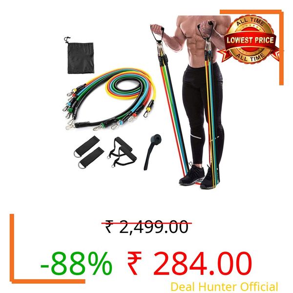 ALN® Resistance Bands Set (11pcs), Exercise Bands with Door Anchor, Handles, Waterproof Carry Bag, Legs Ankle Straps for Resistance Training, Physical Therapy, Home Workouts for Men and Women