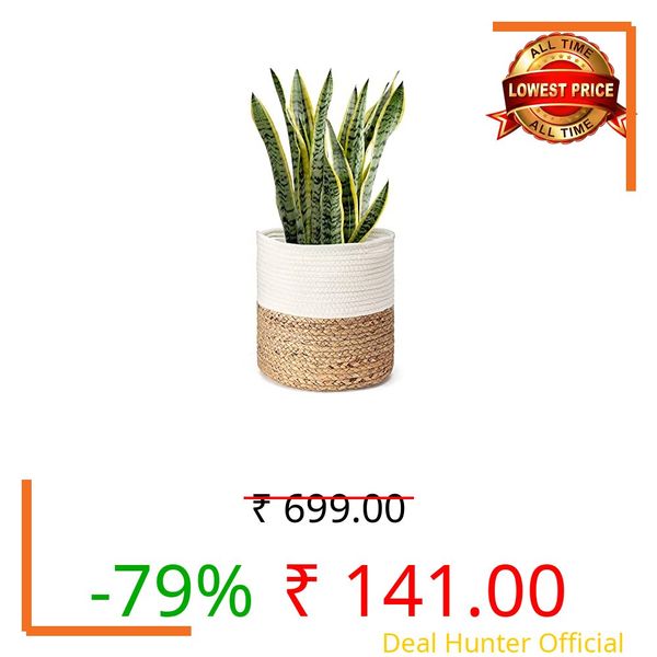 Ikom 6 Inch Planter - Indoor Pots for Plants Used in Home Decor, Garden, Bathroom, Living Room Etc - Half White