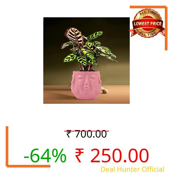 Lasaki Vivan Purple Ceramic Pots for Indoor Plants, Planters, Flower, Pots, gamla, Outdoor, Balcony, Home, Garden, Office Decor, Succulent Pot(H - 10 X D - 10 cm)(Plants not Included)