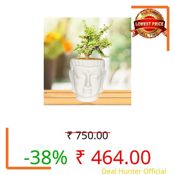 Lasaki Buddha midi White Ceramic Pots for Indoor Plants, Planters, Flower, Pots, gamla, Outdoor, Balcony, Home, Garden, Office Decor, Succulent Pot(H - 14.5 X D - 10 cm)(Plants not Included)