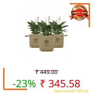 GREENSHEEP Geo Fabric Grow Bags for Terrace Gardening, Balcony, Vegetables, Plants, Fruits and Flower with Handles - Breathable and Reusable Plant Bags for Indoor (Beige) (Pack of 3) (Size-12x4)