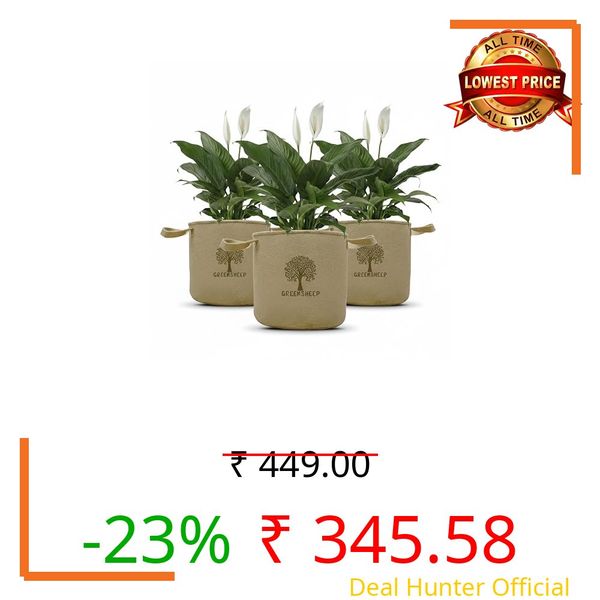 GREENSHEEP Geo Fabric Grow Bags for Terrace Gardening, Balcony, Vegetables, Plants, Fruits and Flower with Handles - Breathable and Reusable Plant Bags for Indoor (Beige) (Pack of 3) (Size-12x4)