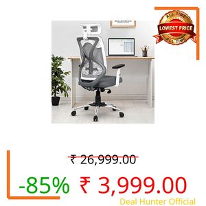 Da URBAN® Merlion Office Chair,High Back Mesh Ergonomic Home Office Desk Chair with 3 Years Warranty, Adjustable Armrests,Adjustable Lumbar Support,Tilt Lock Mechanism (Grey)