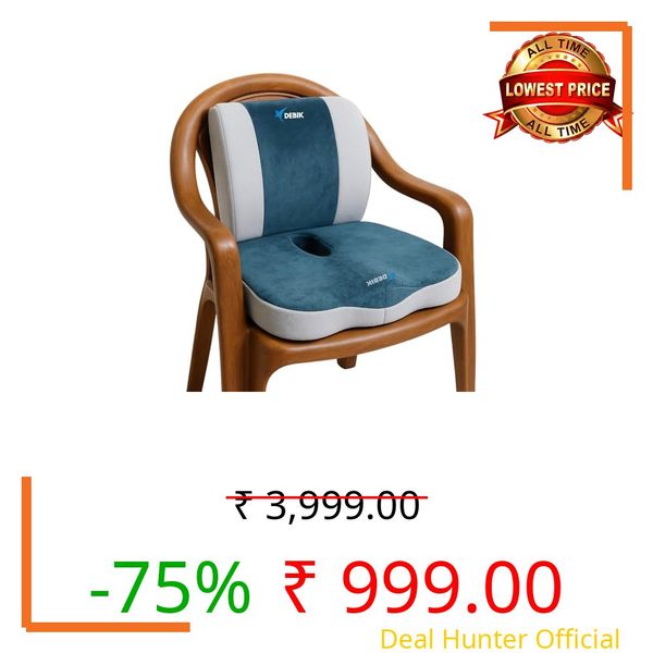 DEBIK® | Seat Cushion & Lumbar Support Pillow for Office, Car, Wheelchair Memory Foam Desk Chair Cushion for Sciatica, Lower Back & Tailbone Pain Relief Desk Pad, Blue (SEAT Cushion & BACKREST)