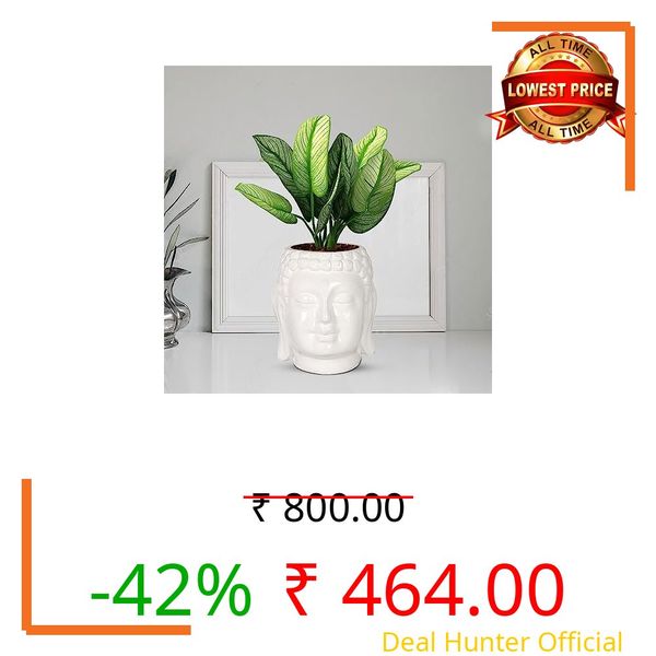 Lasaki Buddha 5 inch White Ceramic Flower Pot for Indoor & Outdoor Plants | Decorative Balcony, Garden, Home & Office Succulent Pot | Unique Designer Gamla Plant Holder (H-12.5 X D-12.5 cm)