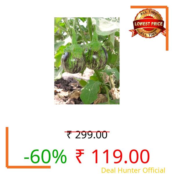 brinjal seeds for home gardening pots, pots home garden brinjal seeds (Pack of 400)