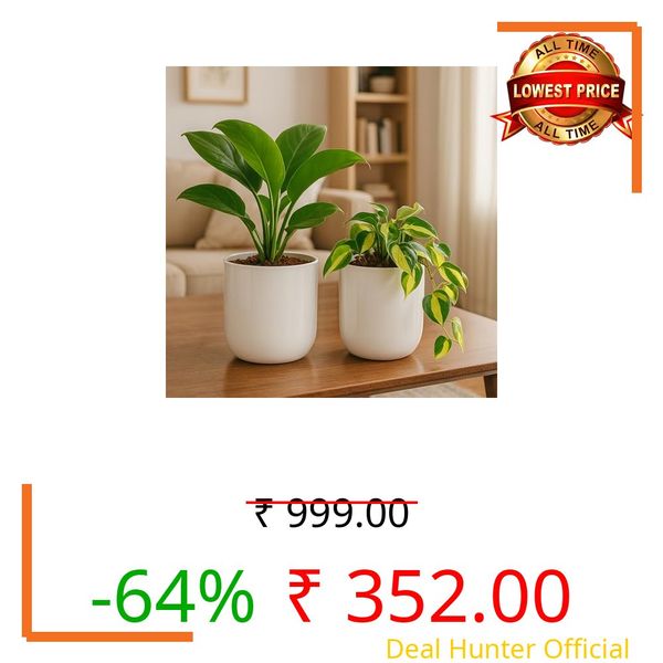Urban Plant Metallic Miniature Planter for Living Room Table Decor | Decorative Modern Indoor Planter | Ideal for Gifting (Pack of 2 - White)