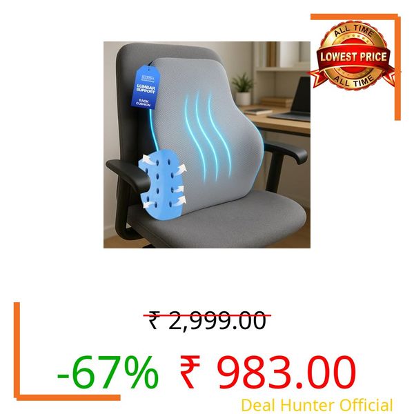Sleepsia Back Support for Office Chair with 1 Year Warranty Lumbar Support Pillow for Office Chair for Back Pain, Car Seat, Memory Foam (Grey/Black Lumbar Back Support (Gel Ventilated))