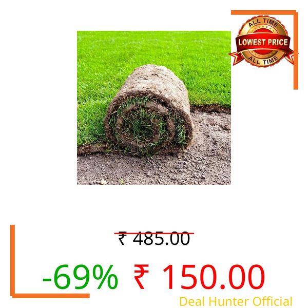 SeeGreen Korean grass seeds for lawn, Lawn grass seeds korean, Grass seeds for lawn korean (9000 seeds)-