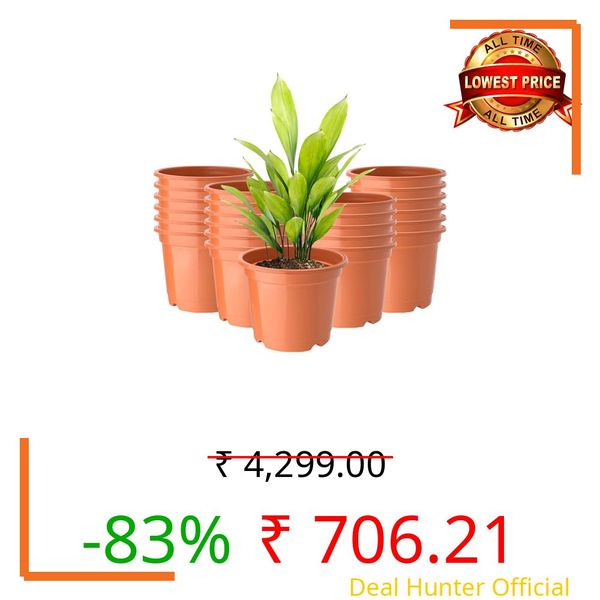 Kuber Industries (Pack of 24) Flower Pot | Pots for Home, Terrace, Garden (6 Inch) Fuldani Flower Pot | Pots Stand for Plants | Phooldaan for Home D?cor | Synergy Indoor Plant Stand | Orange