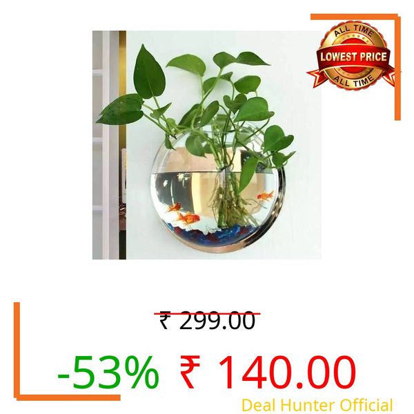 Money plant for balcony,Living Wall Planter - (Pack of 1 Live plant)