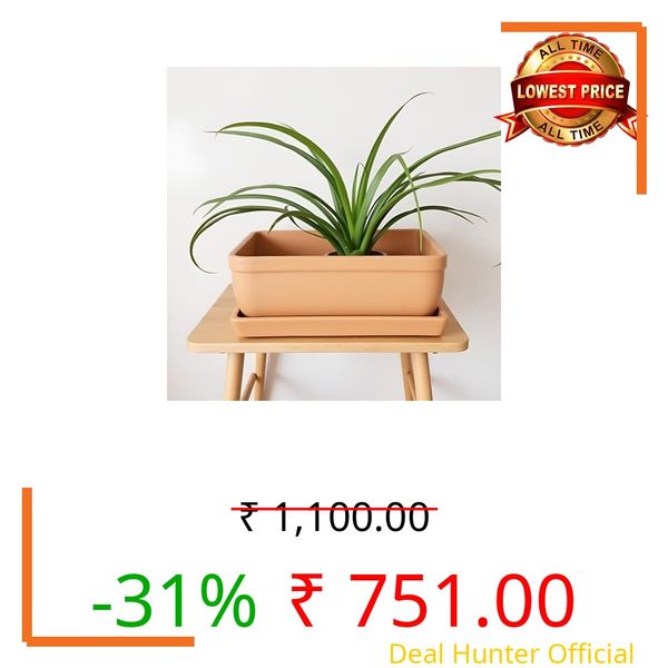 Lasaki Rectangle Ginger rec003 with Plate Ginger rec003 Ceramic Pots for Indoor Plants,Bonsai,Planters,gamla,Outdoor,Balcony,Home,Garden,Succulent(Plants not Included)
