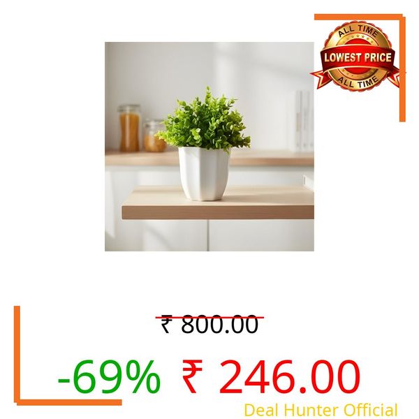 fancymart Artificial Plant Hackleberry Bunch in Pot - 22 cm Height, Perfect for Tabletop Decoration | Ideal for Home & Office Décor