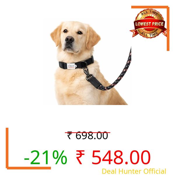 Zigly Lifestyle Classic Padded Dog Collar & Reflective Leash Set for Puppies & Toy Breeds | Adjustable Collar and Leash Combo with Secure Buckle & Soft Padding | Durable Walking Gear | Black | XS