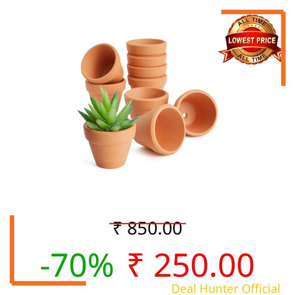 Terra Cotta Plant Pots, Small Clay Flower Pots, Set of 2, Natural Earthenware