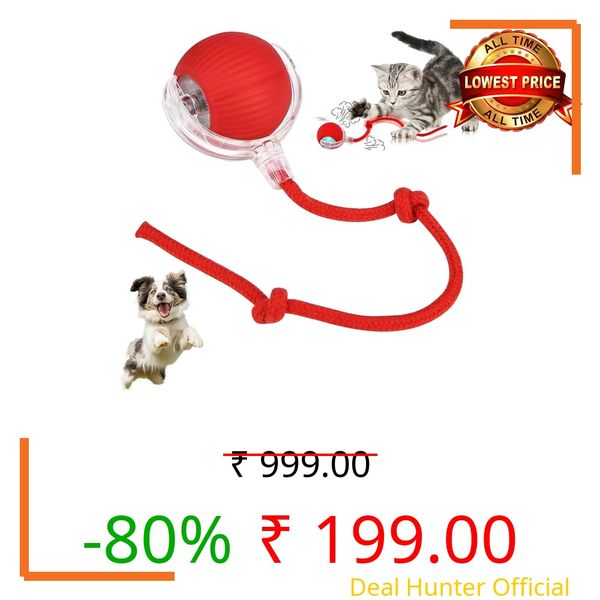 KALQIAD Interactive Electric Automatic Rolling Moving Rechargeable Self Play Stimulation Toy,Smart Pet Chase Ball with Speedy Tail Rope for Bored Indoor Cats,stimulating Dogs Toy Small Dogs