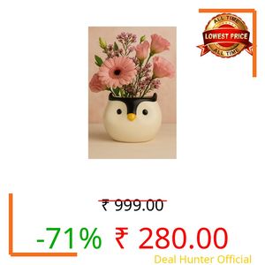 YUTORI Cute Owl Shape Planter Pot for Home, Table, Living Room, Office Desk and Home Decor Indoor Ceramic Pot