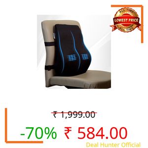 WELLGIVER Memory Foam Lumbar Support Pillow for Office Chair & Car Seat – Ergonomic Back Cushion for Lower Back Pain Relief, Posture Support & Comfortable Long Sitting