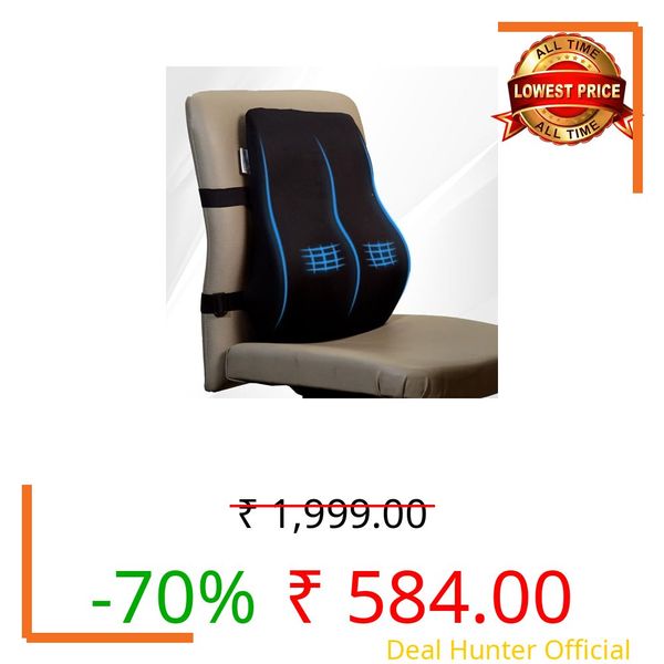 WELLGIVER Memory Foam Lumbar Support Pillow for Office Chair & Car Seat – Ergonomic Back Cushion for Lower Back Pain Relief, Posture Support & Comfortable Long Sitting