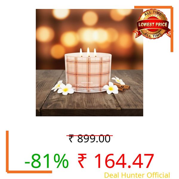 Amazon Brand Solimo-Glass Decal Simple Coconut Campfire Candle | 425gm |12W x 8.5H cm