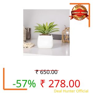 Lasaki Nebi White HT Ceramic Pots for Indoor Plants, Planters,gamla,Outdoor,Balcony,Home,Round,Garden, Office Decor,Succulent(L - 9.5 X W - 9.5 X H - 8 cm)(Plants not Included)