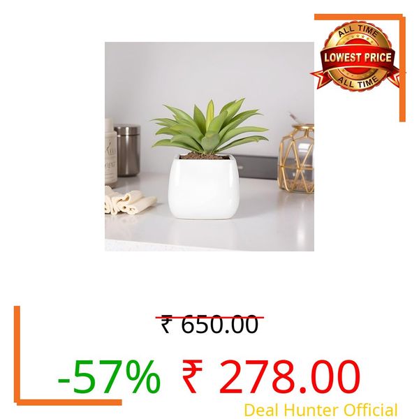 Lasaki Nebi White HT Ceramic Pots for Indoor Plants, Planters,gamla,Outdoor,Balcony,Home,Round,Garden, Office Decor,Succulent(L - 9.5 X W - 9.5 X H - 8 cm)(Plants not Included)
