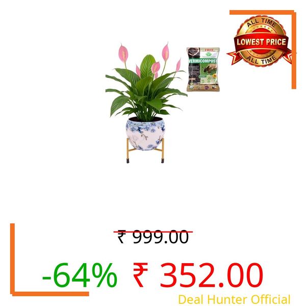 NATURAL EARTH® Metal Flower Pot & Stand with Free 1 KG Organic Vermicompost Fertilizer | Decorative Indoor Outdoor Plant Pot | Artsy White Floral Planter for Home & Garden Décor