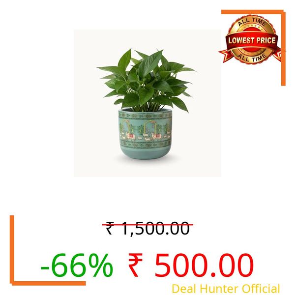 Nivirescent™ Terracotta Planter – Premium Glass Coated Planters for Home Decor | Artistic Flower Pots for Garden & Indoor | Table Top Decor (Mint, M)