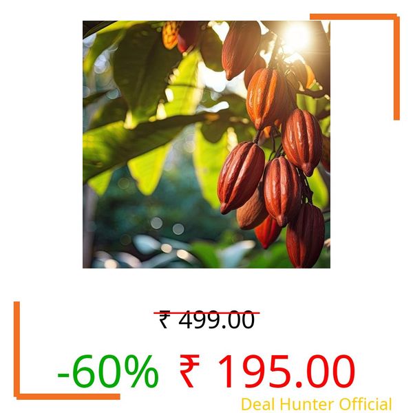 PRICE DROPPED! 🔥🔥