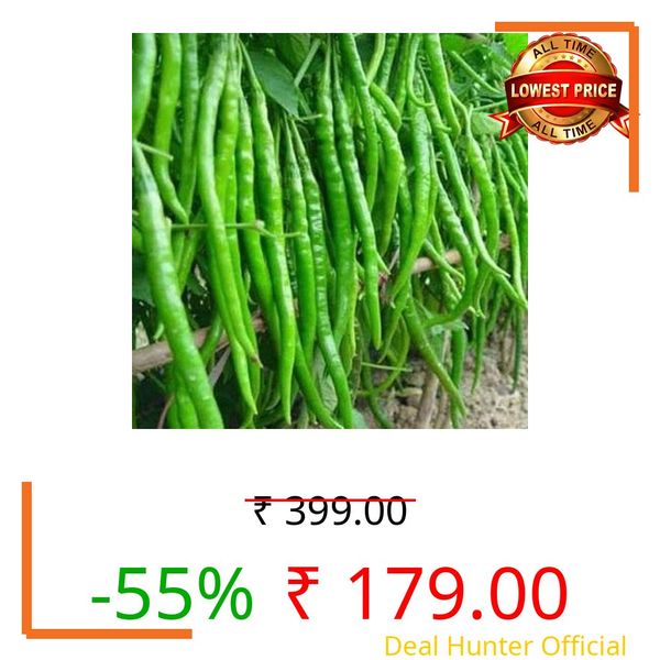 Ovule Long Heirloom Chili Pepper Superhot Chilli Pepper| Seeds Tested And Packed For Terrace and Home Gardening (Chilli) (200 Per Packet)
