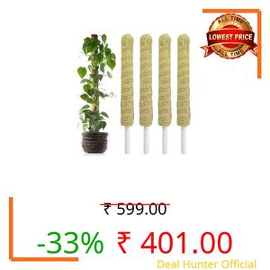 VIDA DE JARDIN Natural Moss Stick for Climbing Plants, Strong Support for Money Plant, Monstera, Pothos, Indoor Outdoor Use, Manual, 50 Grams (4, 2 Feet)