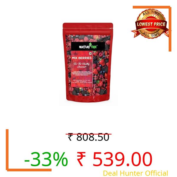 Nurture Tree Mixed Berries, Gourmet Mix, 4 in 1 - Healthly Snacks Contains Dried Blueberries | Strawberries | Goji Berries | Sugar Free Cranberry | Good Source of Fibre Antioxidant-Rich (400gm)