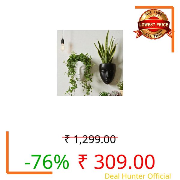Wall Mounted Face Planter Set, Black and White, Decorative Indoor Plant Holder, Modern Home Decor, 2 Pieces (Plastic)