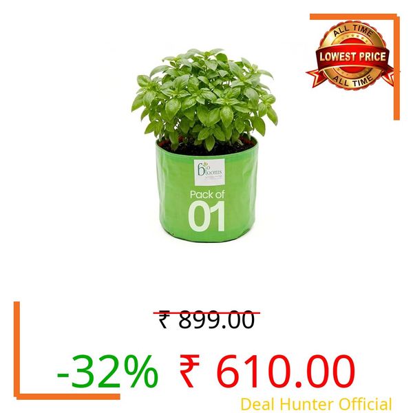 Bio Blooms Round HDPE Plant Grow Bag for Terrace & Kitchen Gardening | Pack of 1 | 36x36 | 200 GSM Heavy Duty Outdoor Grow Bag | Durable Planter for Vegetables, Flowers & Plants | Green & Orange