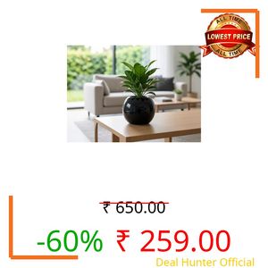 Lasaki Peblo Big Black HT Ceramic Pots for Indoor Plants, Planters,gamla,Outdoor,Balcony,Home,Round,Garden, Office Decor,Succulent(H - 8.5 X D - 11 cm)(Plants not Included)