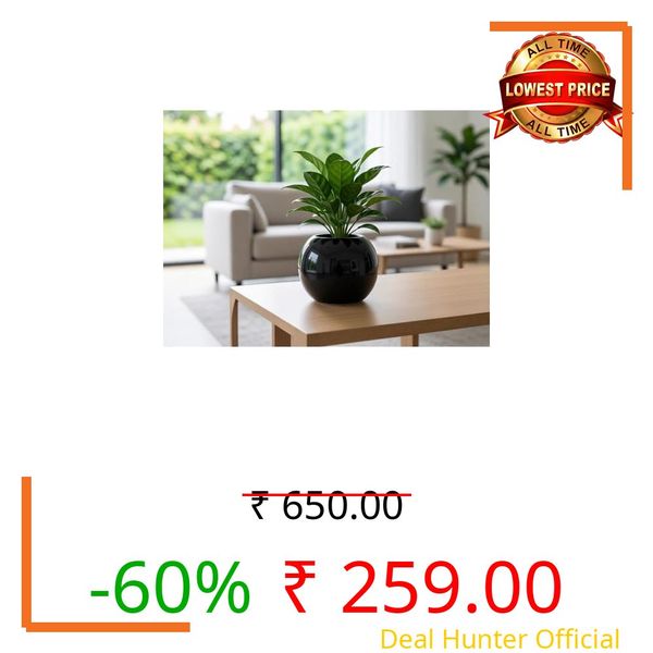 Lasaki Peblo Big Black HT Ceramic Pots for Indoor Plants, Planters,gamla,Outdoor,Balcony,Home,Round,Garden, Office Decor,Succulent(H - 8.5 X D - 11 cm)(Plants not Included)