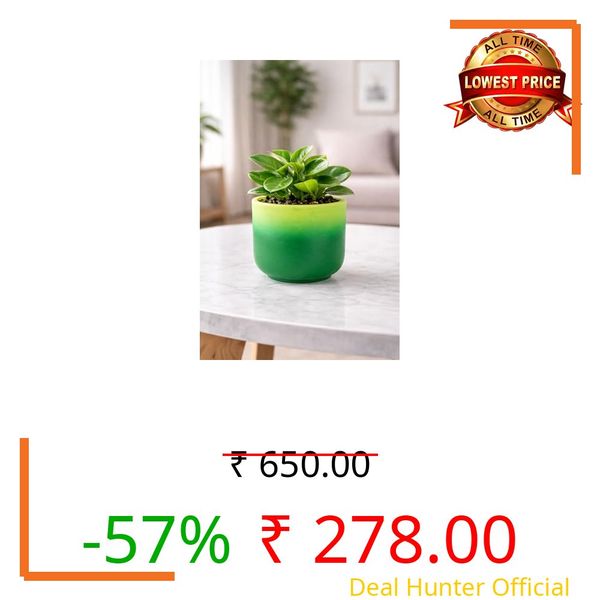 Lasaki Orin 4.5d djm Ceramic Pots for Indoor Plants, Planters,gamla,Outdoor,Balcony,Home,Round,Garden, Office Decor,Succulent(H - 10 X D - 11.5 cm)(Plants not Included)