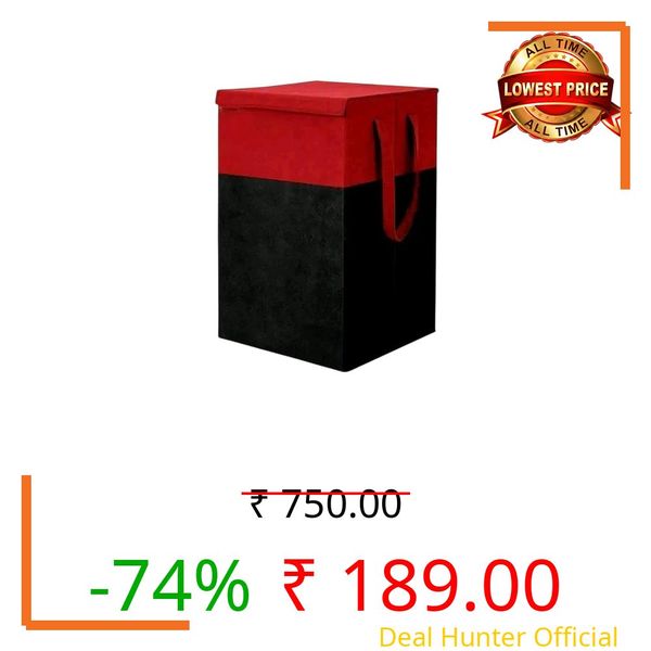 DESTINY ENT 75 L Non Woven Printed Rectangular Foldable Large Laundry Bag/Basket With Lid & Handle, Freestanding Clothes Storage Organizer for Bedroom (Red)
