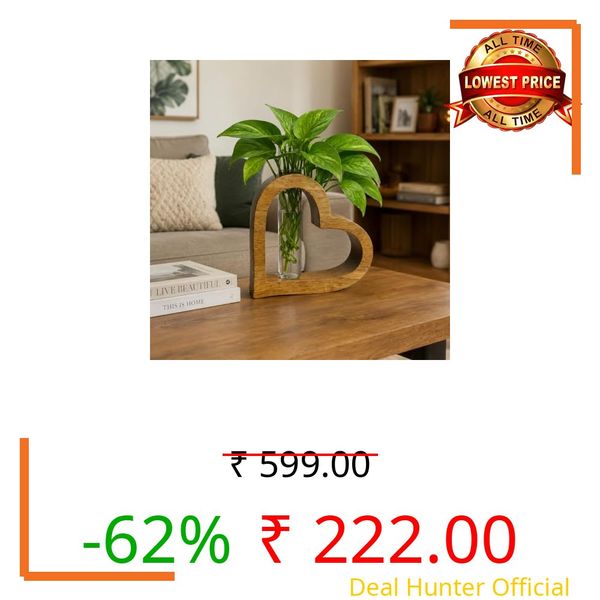Zs Collection Wooden Glass Test Tube Planter | Glass Planter with Wooden Stand | Hydroponic Vase | Decorative Test Tube Plant Holder for Living Room, Office, Table & Home Decor (Heart Frame)