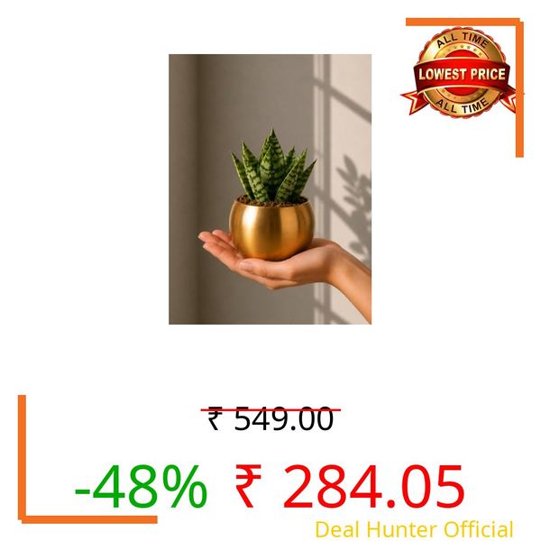 FNP Live Snake Plant in Gold Hammered Pot | Air-Purifying Indoor Plant | Low-Maintenance & Stress-Free Care | Modern Home & Office Décor
