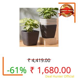 Eha Earth-Friendly Daisy 9 "Pots and Planters Made with Rice Husk, Set of 4