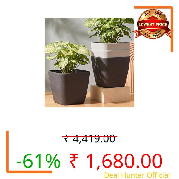 Eha Earth-Friendly Daisy 9 "Pots and Planters Made with Rice Husk, Set of 4